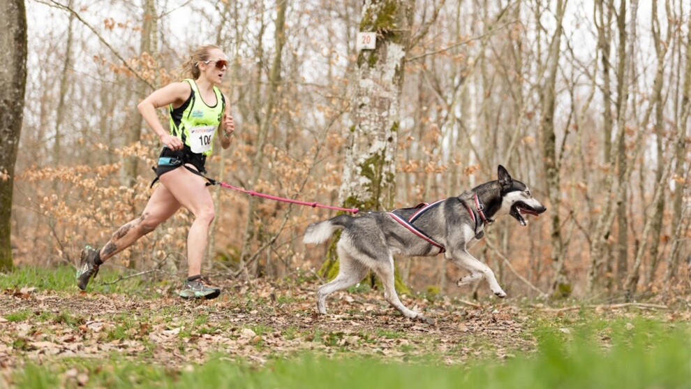 La gendarme Sophie entrain de courir dans la forêt, devant elle son chien.