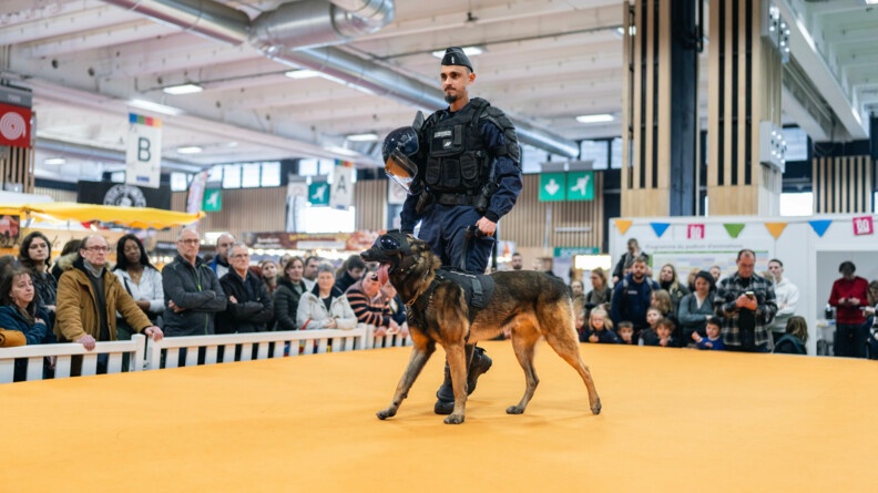Un gendarme d'une équipe cyniphile aux côtés de son chien.