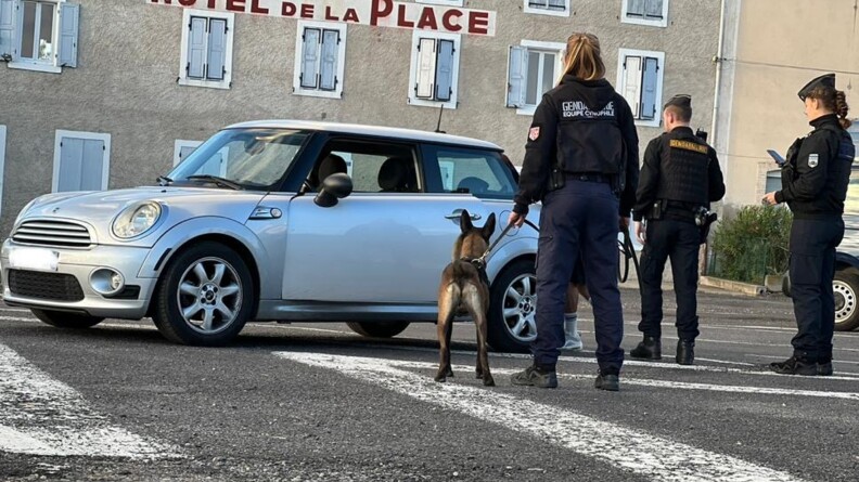 Contrôle d'un véhicule par des gendarmes appuyés par un chien.