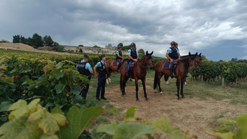 Au milieu d'un champ de vignes, quatre cavalier de la garde et leurs chevaux, et à leur droite deux gendarmes à pied