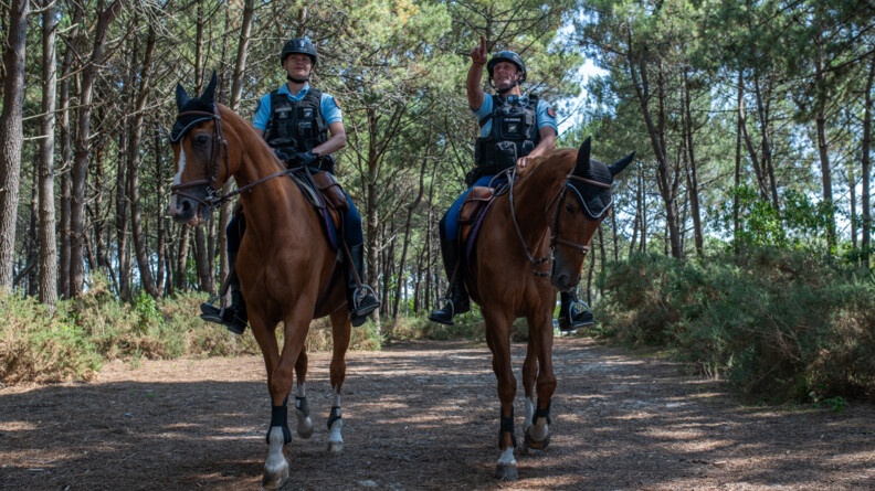 Deux gendarmes montés sur leurs chevaux dans la pinède, de face, marchant. Tout deux sont en train d'échanger, souriant, et le gendarme de droite montre quelque chose du doigt au loin devant eux.