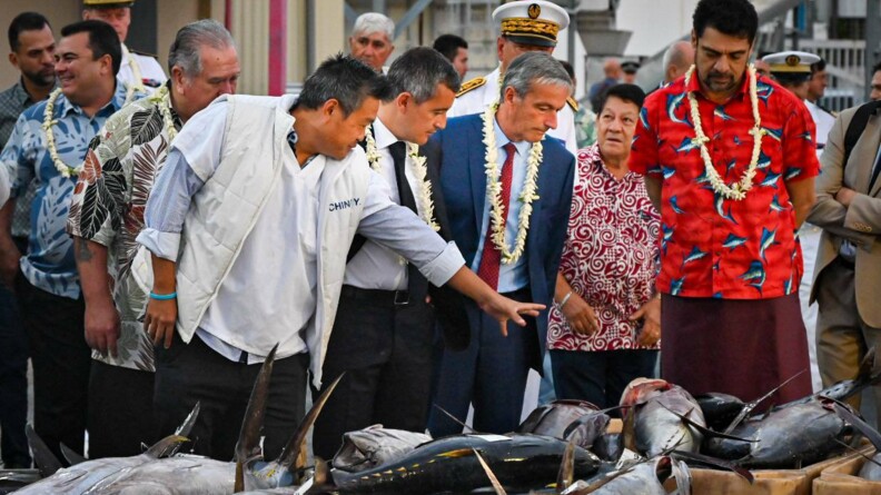 Gérald Darmanin échangeant avec des pêcheurs devant des poissons morts au sol devant eux