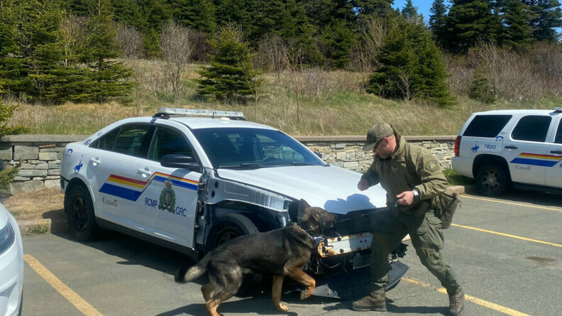 Un policier canadien avec son chien s'entraîne devant un véhciule de police sur un parking