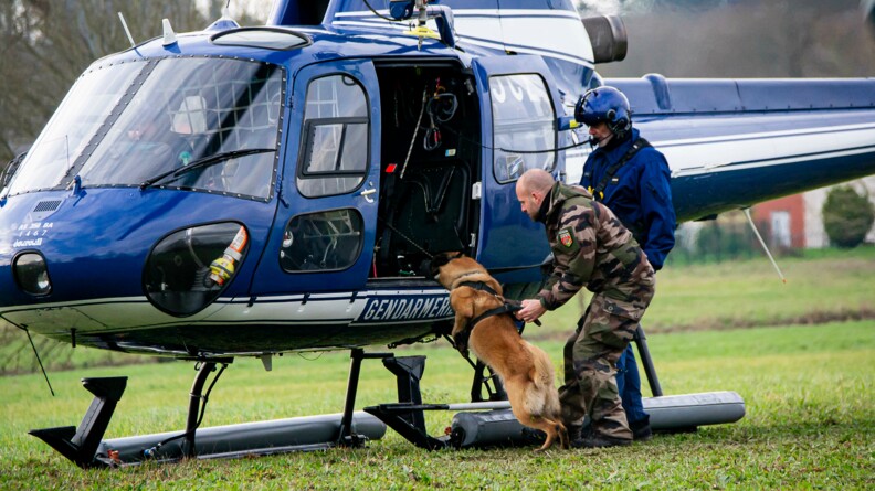 Un chien malinois en train de monter dans un hélicoptère gendarmerie. Il est tenu par le harnais par son maître et près d'eux se tient un pilote d'hélicoptère
