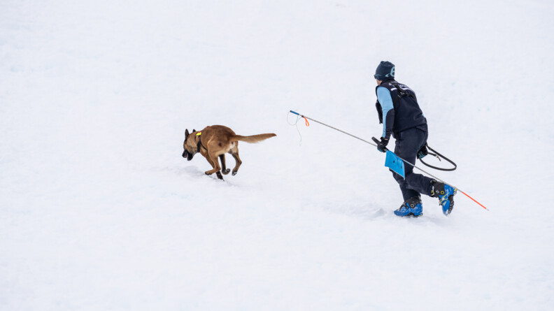 Sur un sol enneigé, on aperçoit un homme tournant le dos à l'objectif, portant une tenue de ski bleue. Il marche, tenant une sonde dans la main gauche, derrière un berger belge malinois qui avance en courant