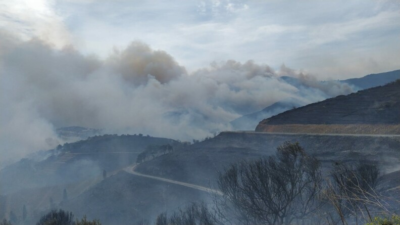 Incendie du 16 avril, dans les Pyrénées-Orientales.