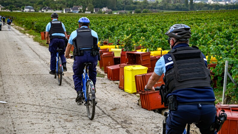 Roulant de gauche à droite, de dos, sur un chemin, trois cyclistes de la gendarmerie. SUr la bordure droite du chemin, des caisses rouges et jaunes entassées en vue de récolter le raisin. A droite du chemin s'étendent les vignes. En arrière-plan la vallée champenoise