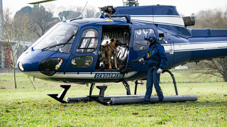 Un chien malinois sur le bord de l'hélicoptère avec des gendarmes