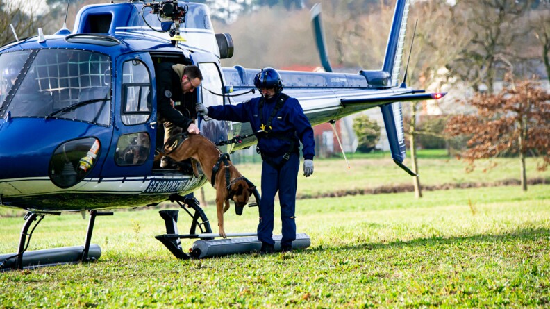 Un chien malinois en train de suater d'un hélicoptère gendarmerie, tenu par son maître dans la cabine. Un gendarme pilote au sol
