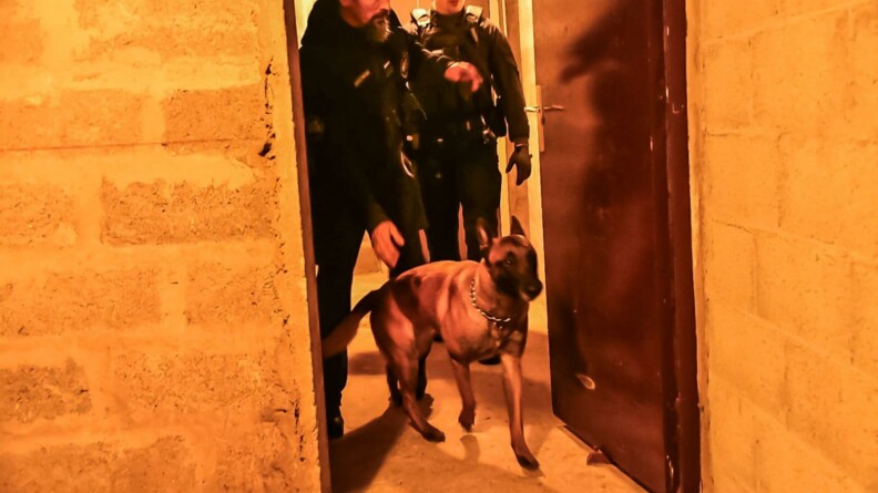 Une équipe cynophile de gendarmerie fouille une cave. On voit le chien entrer suivi par son maître.