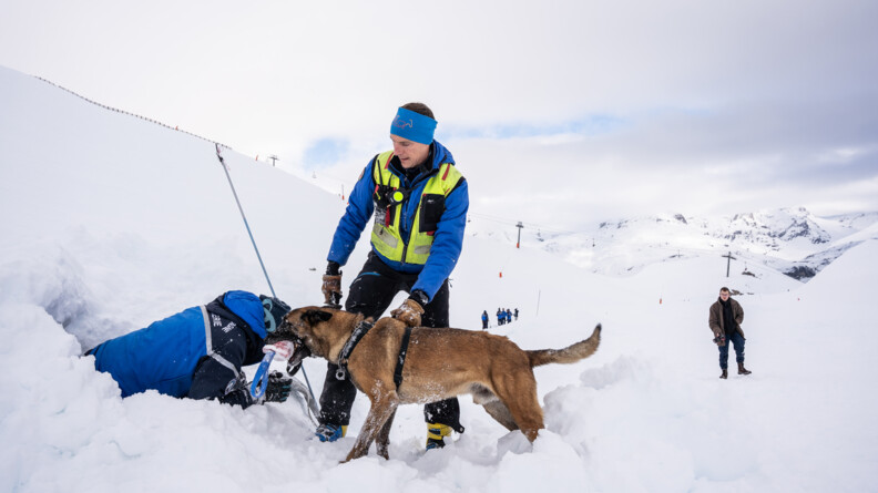 Sur une montagne enneigée, un homme en tenue de ski bleue et jaune, tenant de la main gauche le harnais d'un berger belge malinois, extrait d'une cavité un autre homme, également vêtu d'un anorak bleu