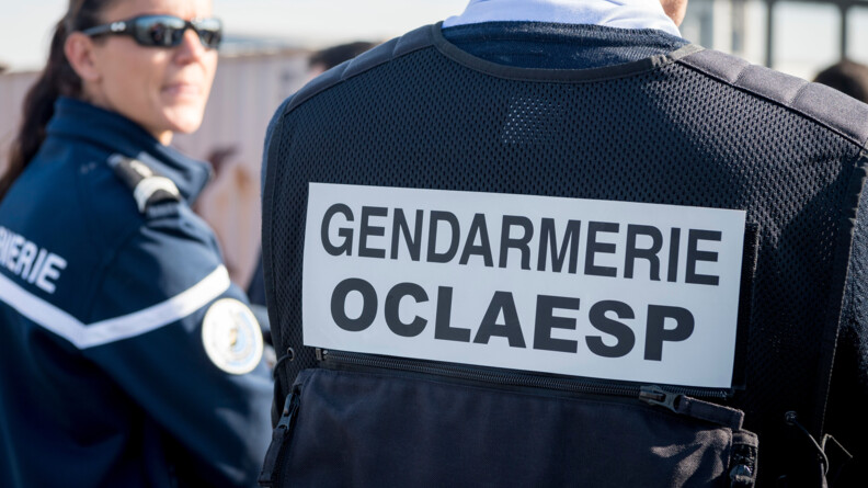 Un gendarme de l'OCLAESP de dos avec à sa gauche une gendarme.