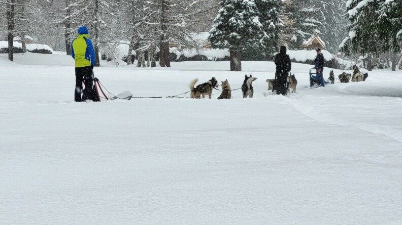 Sur un sol enneigé, trois hommes avancent sur des traîneaux tirés par des chiens, au milieu de sapins. On aperçoit des maisons.
