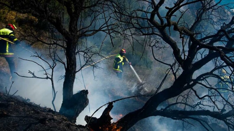 Deux pompiers tentent d'éteindre un feu dans une forêt, lors de l'incendie du 16 avril dans les Pyrénées-Orientales.