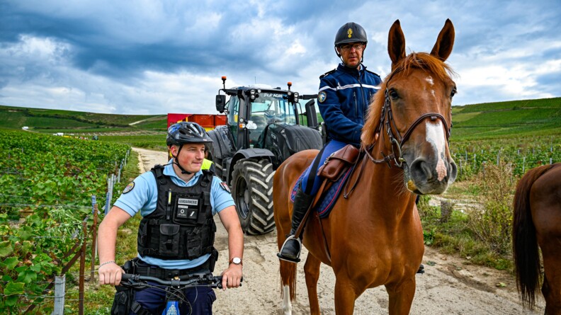 Au premier plan, à gauche, un gendarme cycliste et à droite, un gendarme à cheval de la Garde républicaine. Derrière eux sur le chemin, un tracteur et sa remorque. De part et d'autres les champs de vigne