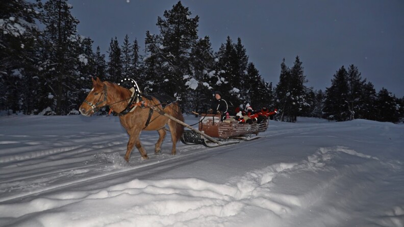 Dans la nuit et dans la neige, un cheval tire une calèche avec à l'intérieur des enfants.