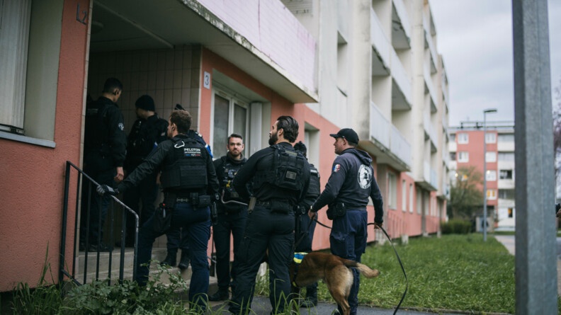 Neuf gendarmes dont ue équipe cynophile prêts à investir l'entrée d'un bâtiment