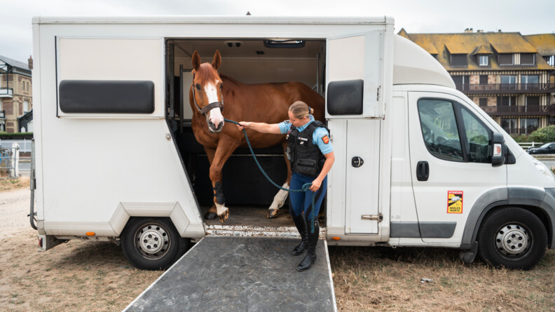 Une gendarme fait sortir son cheval d'un van blanc par la porte latérale