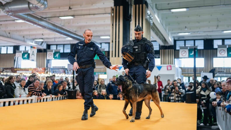 Deux gendarmes d'une équipe cynophile qui sont entrain de faire une démonstration avec un chien. Autour d'eux, une foule de personnes les regardant.