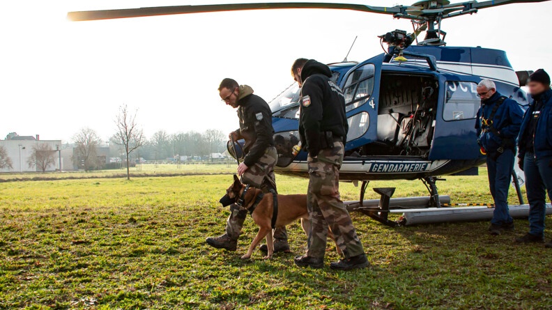 Un chien malinois marche dans l'herbe entouré de deux gendarmes, au pied d'un hélicoptère gendarmerie