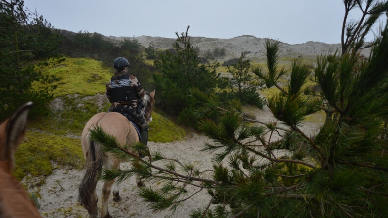 Photo prise à cheval montrant un autre cheval devant. Les cavaliers, des gendarmes, évoluent sur un terrain sablonneux.