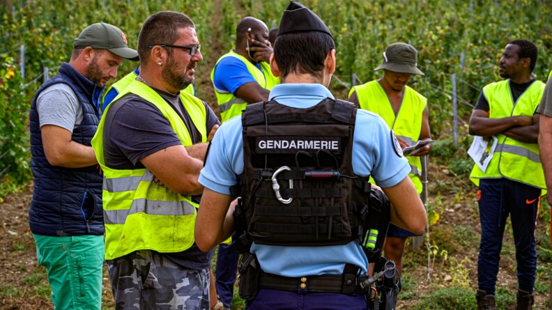 De dos, un gendarme auprès d'un groupe de six vendangeurs portant une chasuble jaune, devant le champ de vigne