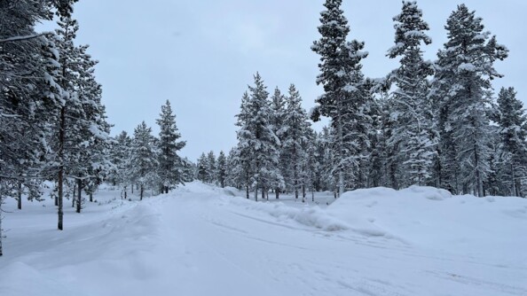 Paysage de neige en Laponie.