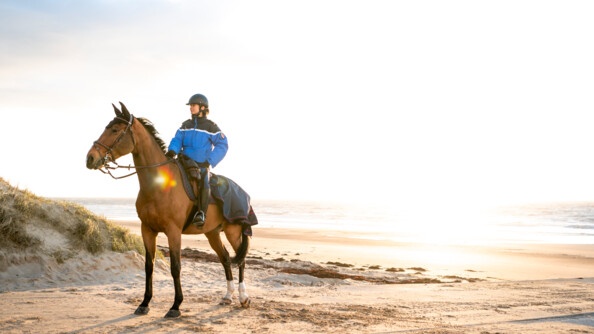 Garde républicaine sur son cheval. Photo prise sur la plage au coucher du soleil.