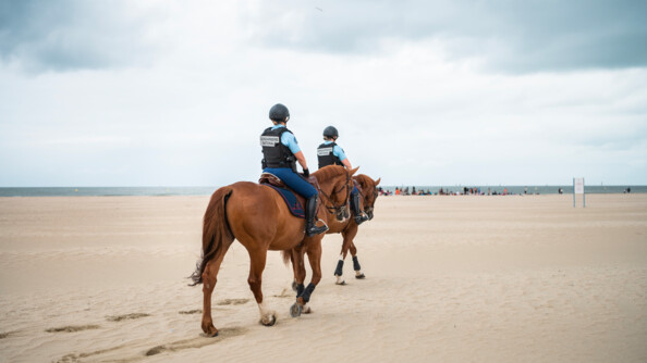 Les gendarmes à cheval de dos sur la plage de Deauville