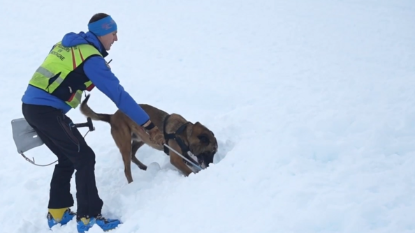 Un gendarme et un chien dans la neige et de jour. Ils s'entrainent à localiser un individu enfoui sous la neige.