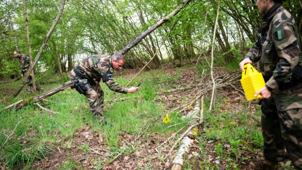 Des gendarmes en treillis dans la forêt balisent les preuves du charnier avec des plots numérotés jaunes.