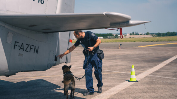 Un chien et son maître sous l'aile d'un avion gris sur le tarmac. Le chien est de dos, à gauche du maître. Celuic-i de profil, au centre, et montre avec son bras droit où son chien doit chercher.