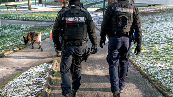 Vue de dos sur une patrouille de deux gendarmes mobiles, un gendarme départemental et une équipent cynophile descendant sur un chemin dans une résidence