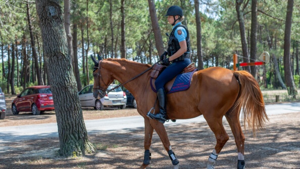 une gendarme à cheval dans la pinède, de profil droit, le long de la route, devant des véhicules stationnés