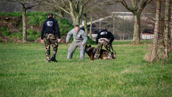 Un chien gendarmerie mordant un homme en combinaison tenu et entouré par deux gendarmes en treilis et pull noir - exercice