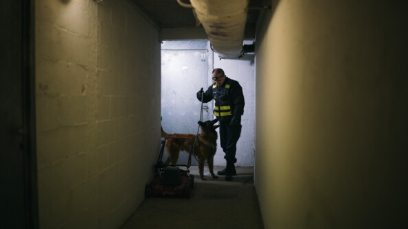 Un gendarme accompagné de son chien dans un couloir d'une cave.