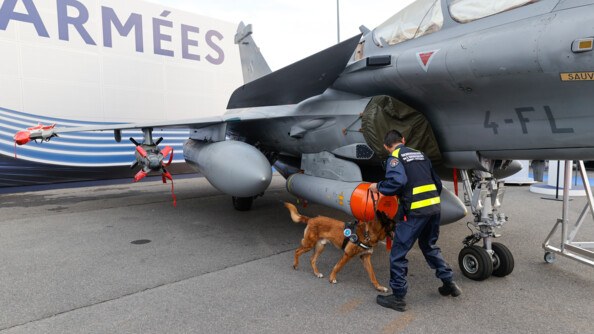 Recherche d'explosifs par un peronnel de la gendarmerie de l'armement et son chien