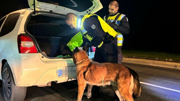 Deux gendarmes et un chien contrôlent le coffre d'un véhicule blanc.