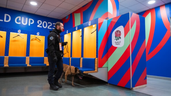 Une équipe cynophile inspecte le vestiaire de l'équipe d'Angleterre au Stade de France.