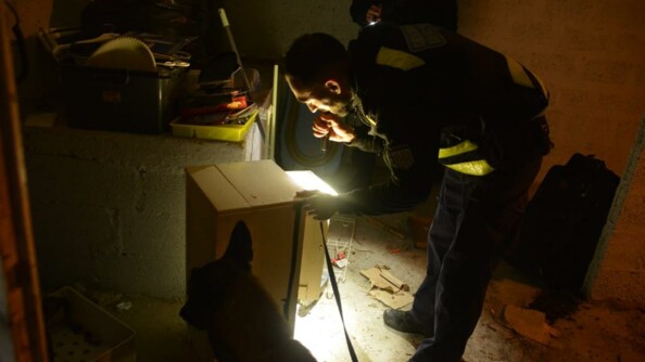 Dans la pénombre, un berger malinois et son maître, muni d'une lampe, inspectent un sous-sol où sont entreposés divers matériels.