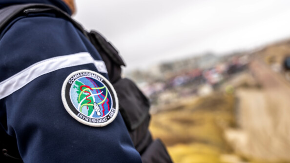 Photo de l'écusson du Commandemant de l'Environnement et la Santé (CESAN), représentant le monde, le serpent de la santé, des visages ainsi que la grenade de la gendarmerie.