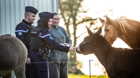 Les gendarmes de la COB de Guerlédan, dans les Côtes d'Armor, en visite dans une exploitation agricole.