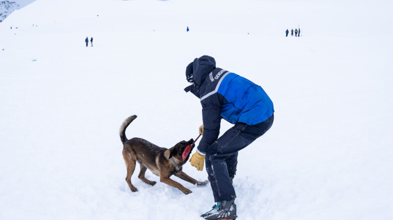 Agrandir l'image Au milieu d'une montagne enneigée, un hommese tient debout, de dos, vêtu d'une tenue de ski de couleur bleue. Son corps est incliné vers le sol, en direction d'un berger belge malinois,auquel il donne un jouet rouge, que l'animal tient dans sa gueule