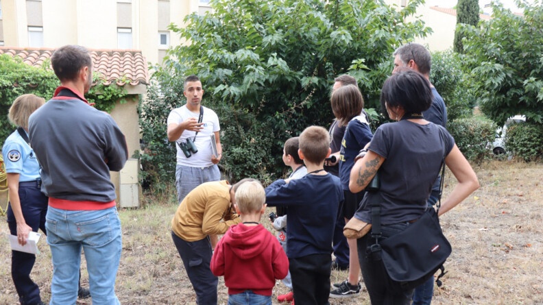 Agrandir l'image