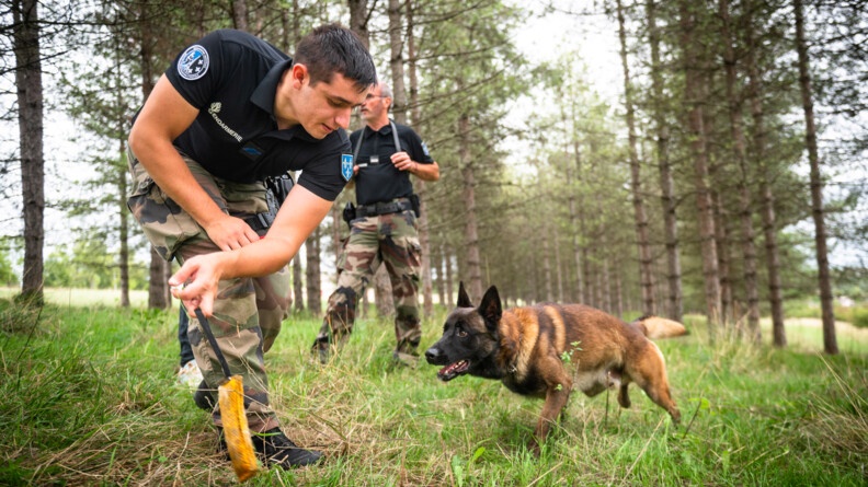 Le chien Tirock tente d'attraper le jouet que le militaire a saisi dans sa main.
