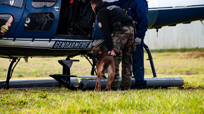 Agrandir l'image Un malinois de dos regardant l'objectif, tenu par un gendarme en treillis en pull noir, s'apprête à monter dans un hélicoptère gendarmerie. Un second gendarme en combinaison de pilote montre la cabine de l'appareil