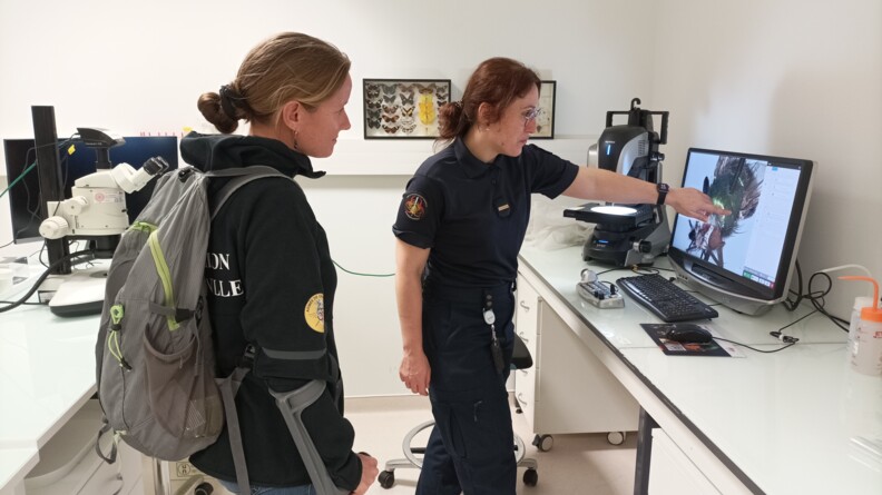La para-sportive Gaëlle Edon, Sportive de haut-niveau de la Défense - Gendarmerie (SHND-G), à gauche, échange avec une experte du département faune flore forensique de l'Institut de recherche criminelle de la gendarmerie nationale, qui lui montre un inscte sur un écran.