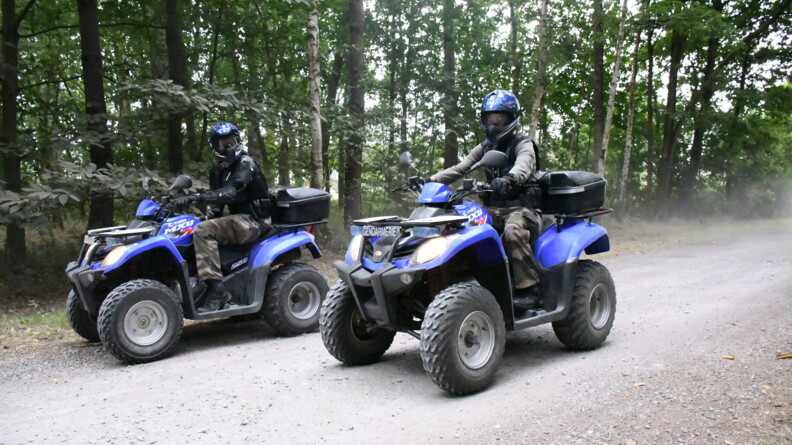 DSC_1877.JPG