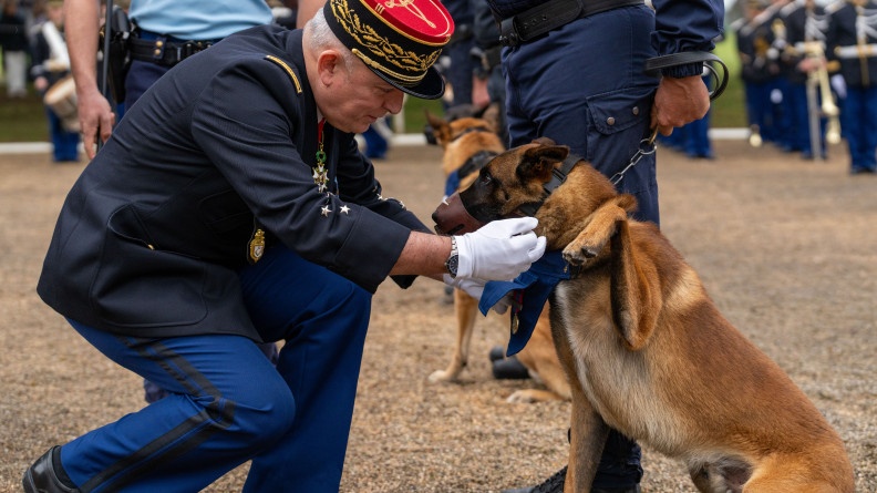 Le directeur g&eacute;n&eacute;ral de la gendarmerie salue un des chien de gramat