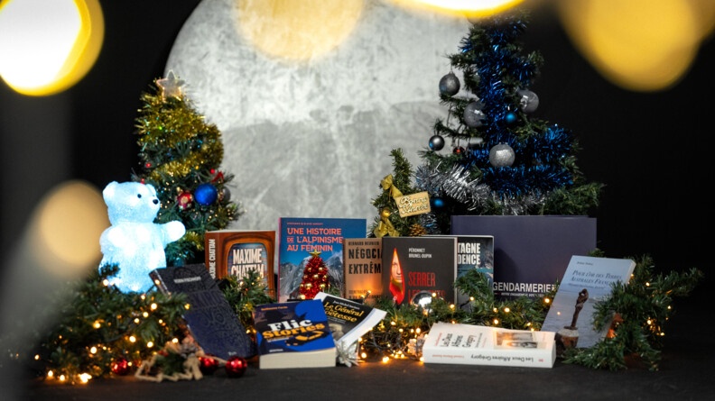 Agrandir l'image photo des livres avec un décor de Noël.